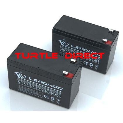 Rechargeable Lead Acid Battery / 12V / 9A